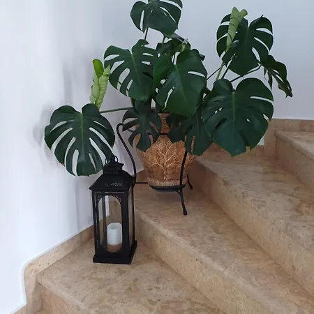 Luxury Apartment Amarynthos