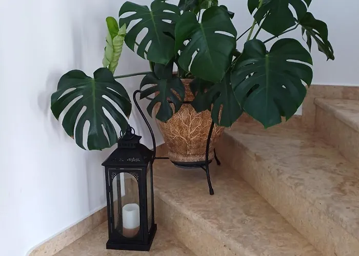 Luxury Apartamento Amarinto